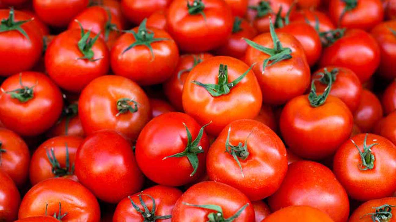 Vegetable