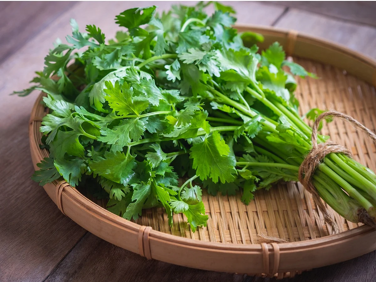 Vegetable